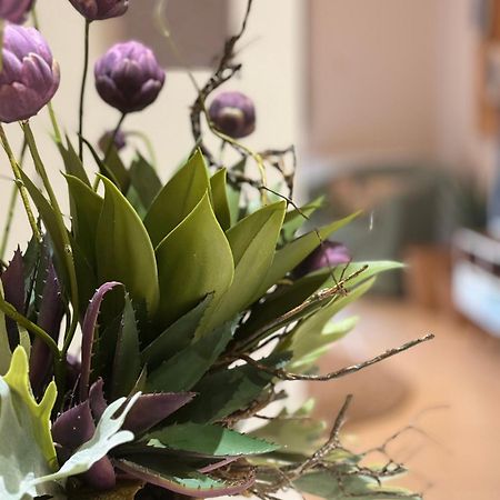 Petite Fleur Apartment Превеза Екстериор снимка