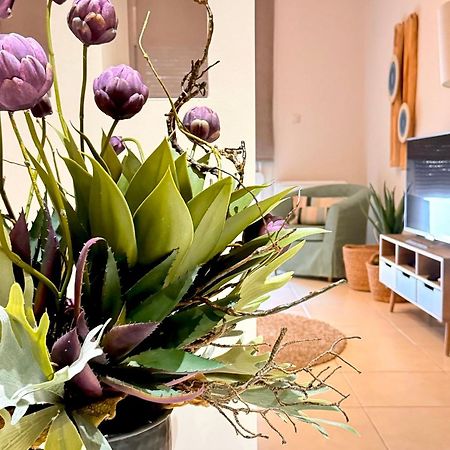 Petite Fleur Apartment Превеза Екстериор снимка
